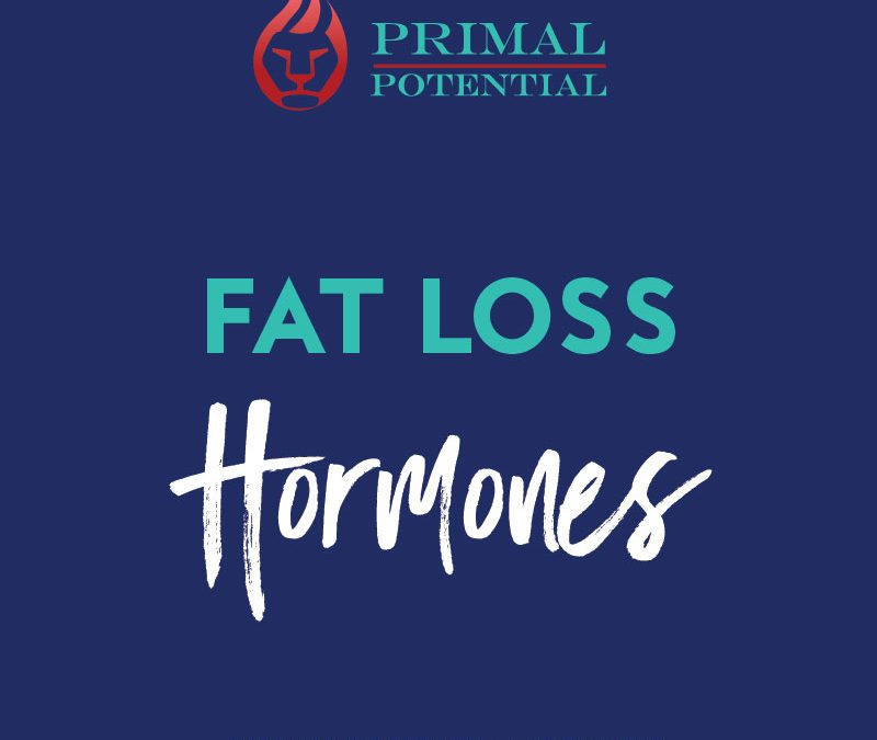 179: 3 Fat Loss Hormones – Meet The Players