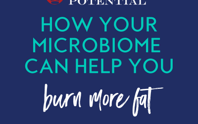 432: How Your Microbiome Can Help You Burn Fat