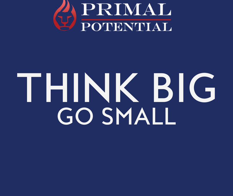 442: Think Big, Go Small