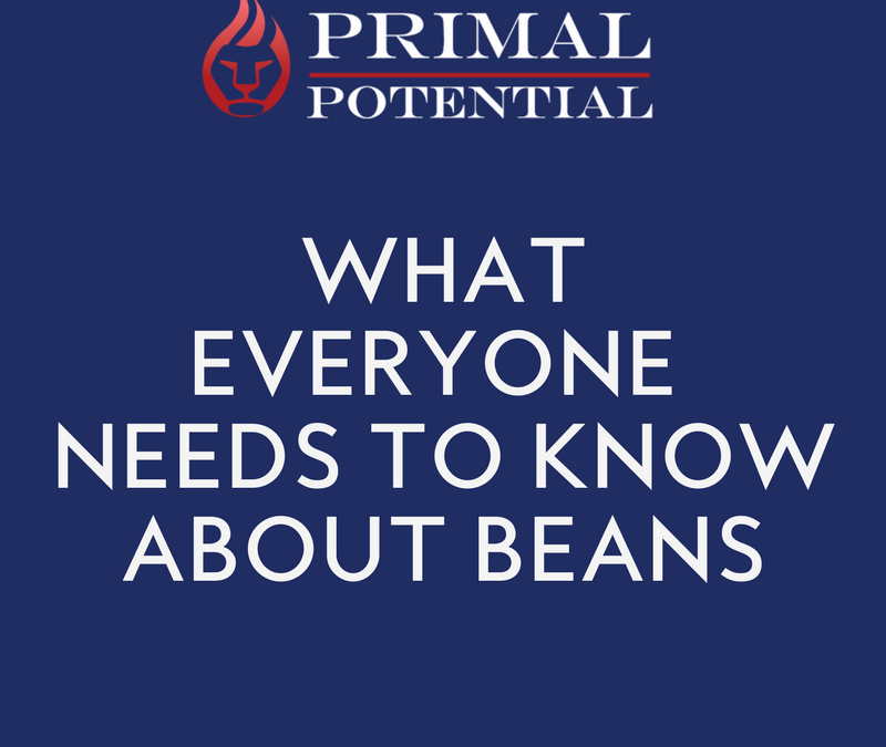 443: What Everyone Needs To Know About Beans