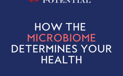 482: How The Microbiome Determines Your Health