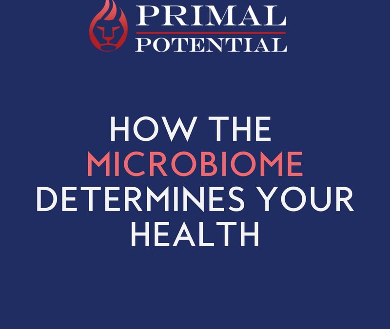 482: How The Microbiome Determines Your Health