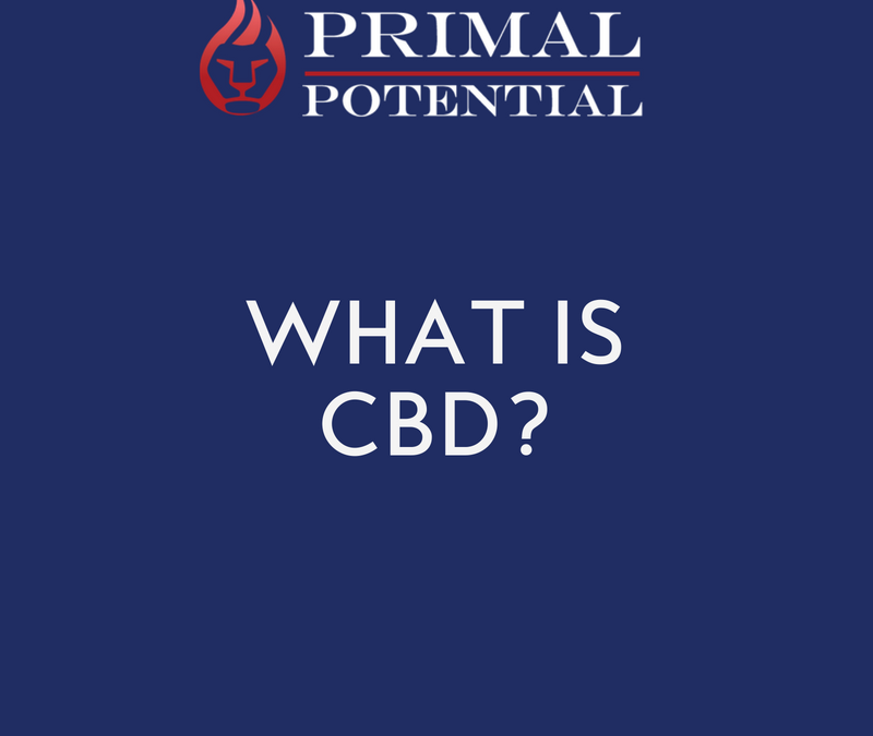 493: What Is CBD & Who Should Use It?