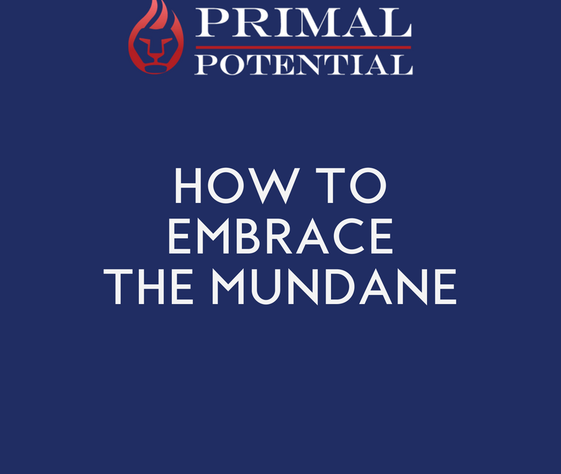 502: How To Embrace The Mundane