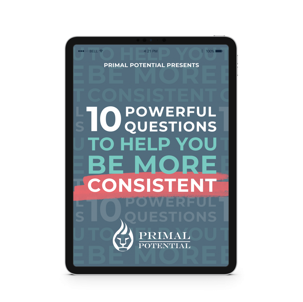 10 Powerful Consistency Questions – Primal Potential